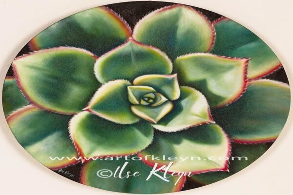 Art Of Kleyn