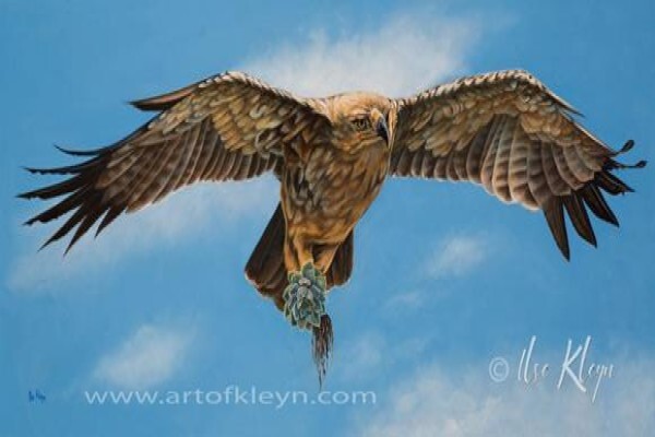 Art Of Kleyn