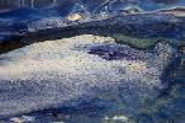 Mathias Chirombo