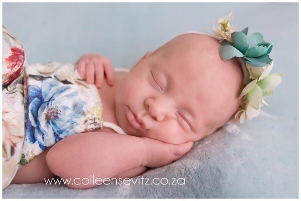 Colleen Sevitz Photography