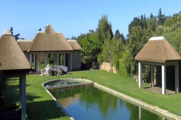 Thatchscapes