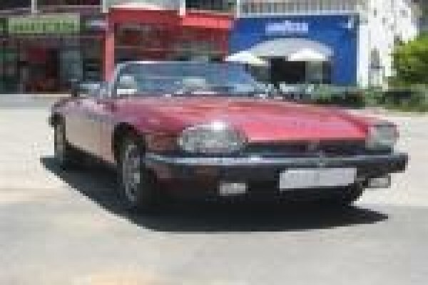 Ferris Cars/ Italian Coffee Shop