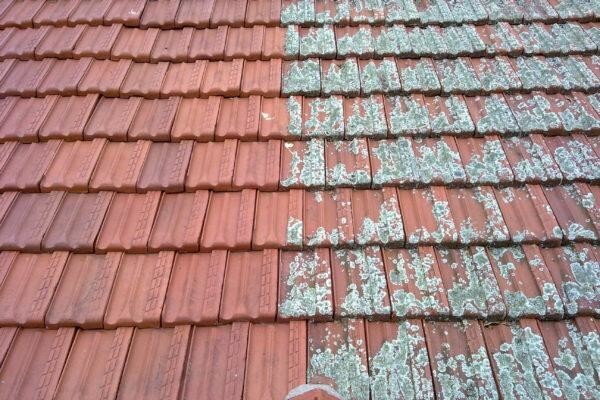 Pressure-It :: Pressure Cleaning Specialists