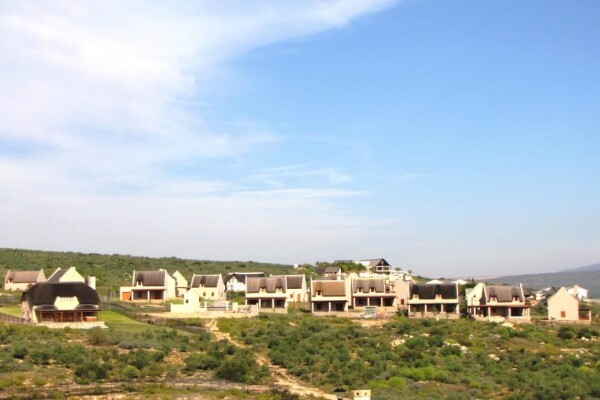 Thatchscapes