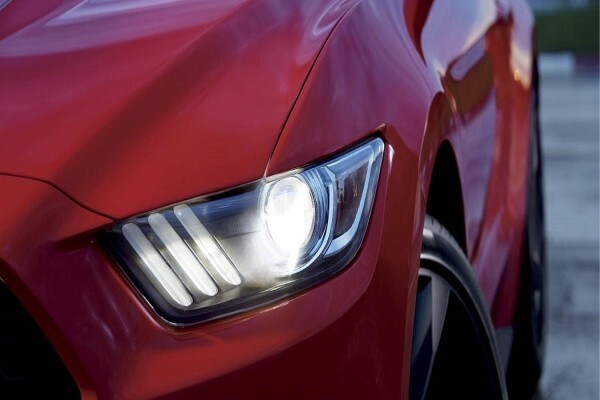 Novel Motor Company