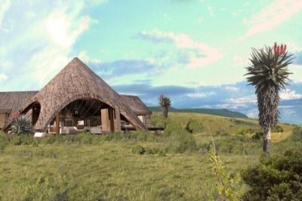 Cocoon Architects