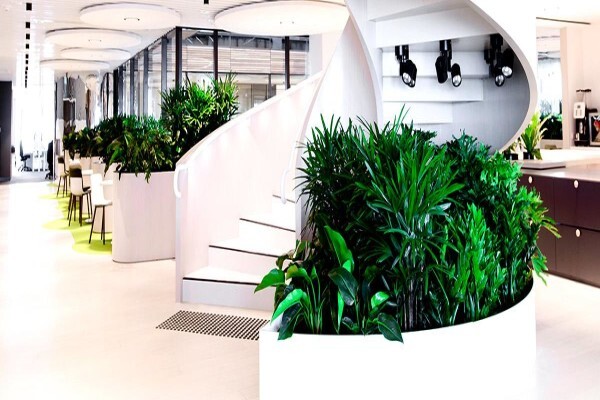 Plants In Buildings
