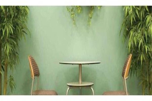 Plants In Buildings