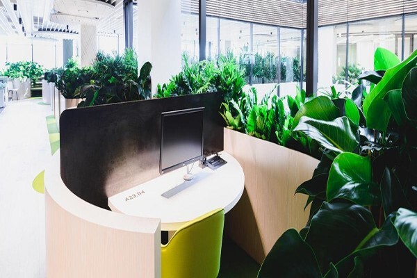 Plants In Buildings