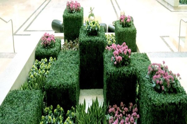 Plants In Buildings