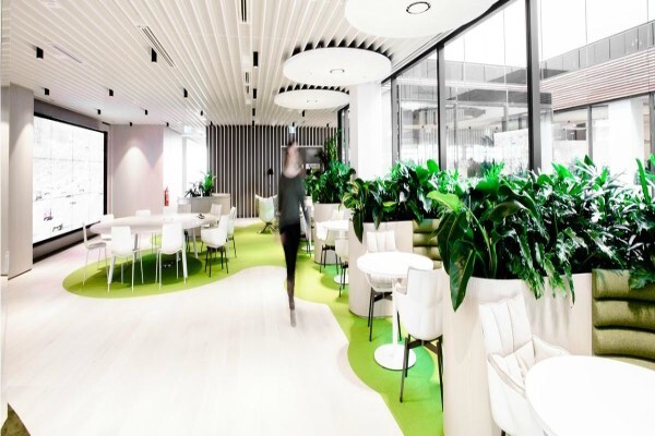 Plants In Buildings