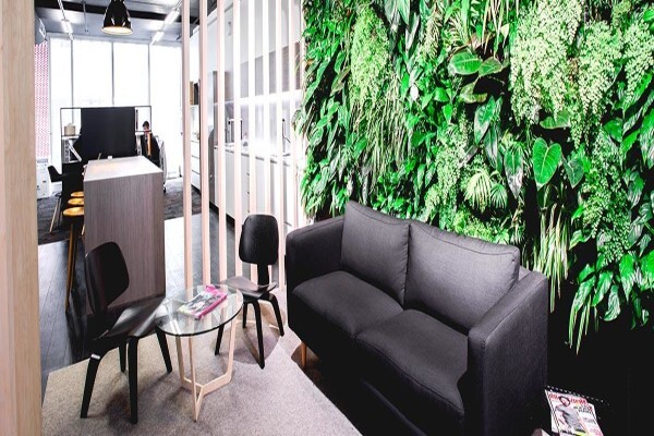 Plants In Buildings