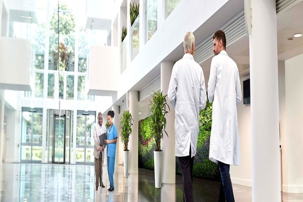 Plants In Buildings