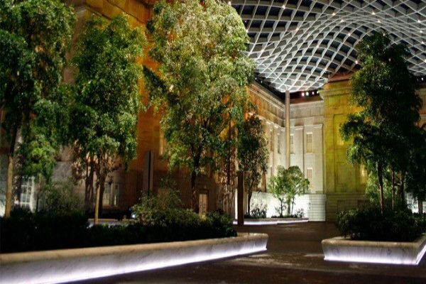 Plants In Buildings