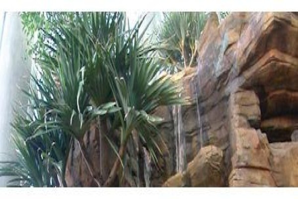 Plants In Buildings