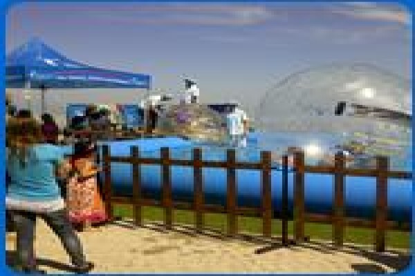 Bubble Ball Entertainment