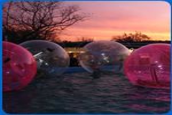 Bubble Ball Entertainment
