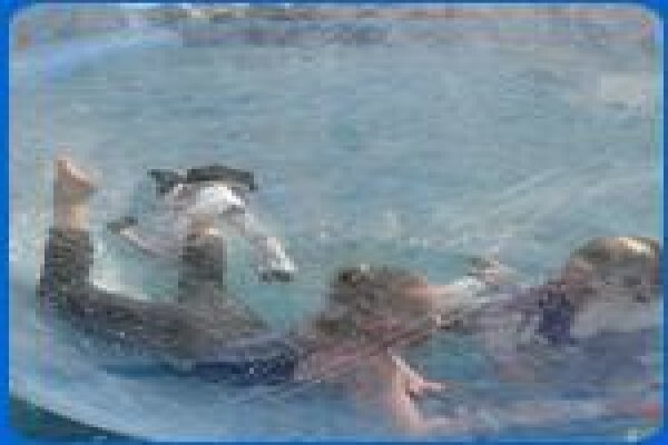 Bubble Ball Entertainment