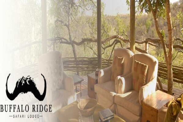 Buffalo Ridge Safari