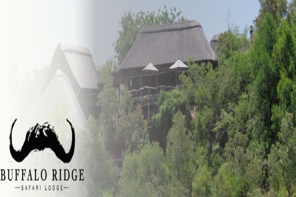 Buffalo Ridge Safari