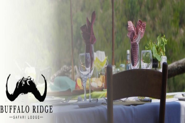 Buffalo Ridge Safari