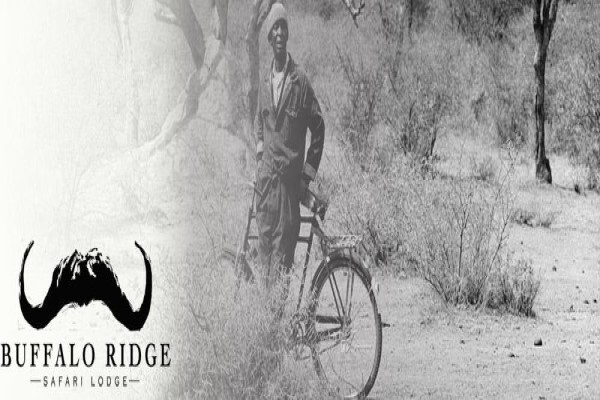 Buffalo Ridge Safari