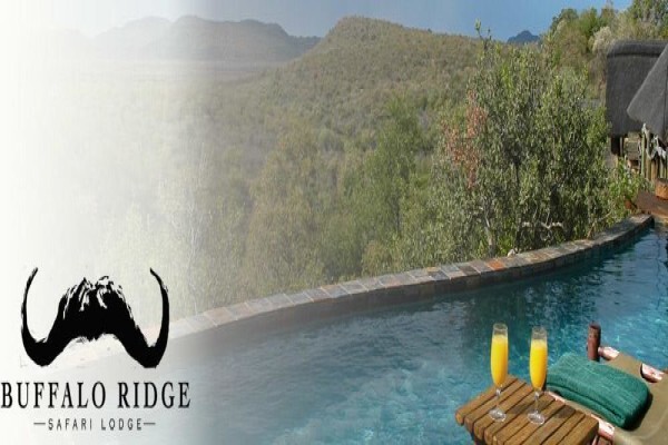 Buffalo Ridge Safari