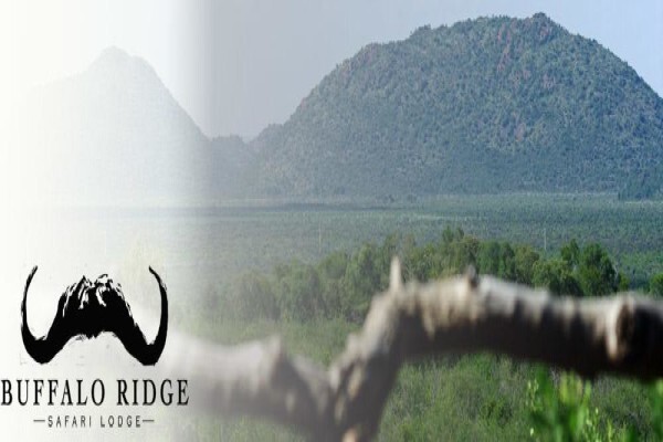 Buffalo Ridge Safari