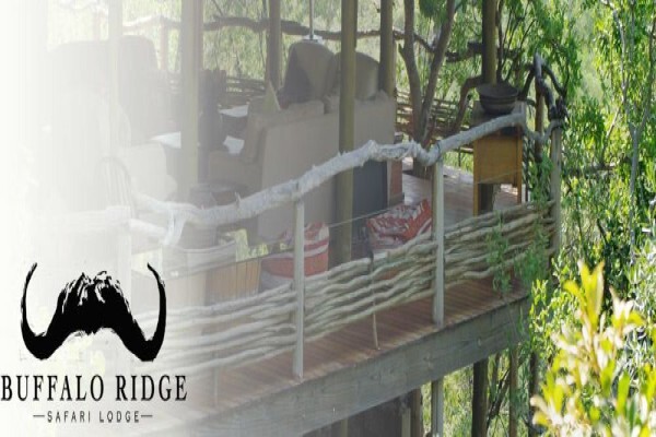 Buffalo Ridge Safari