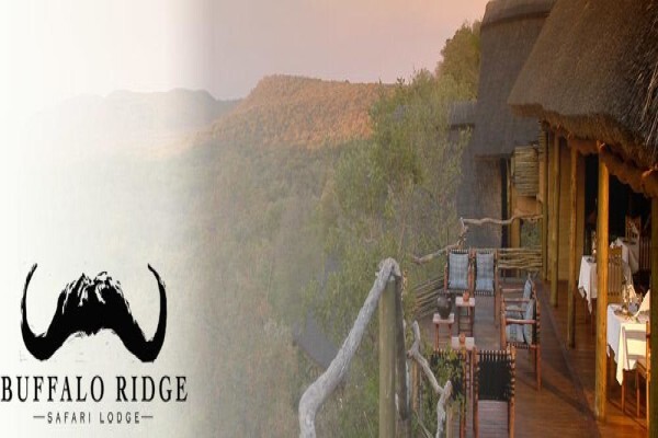 Buffalo Ridge Safari
