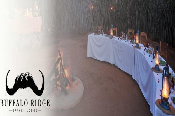 Buffalo Ridge Safari