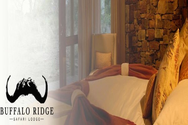 Buffalo Ridge Safari