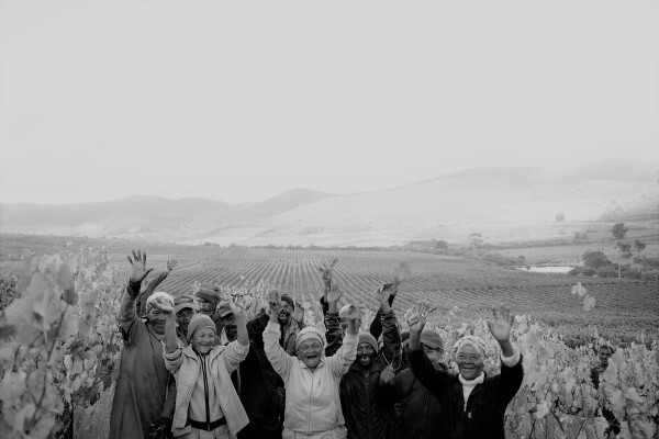 Bushmanspad Wine Estate