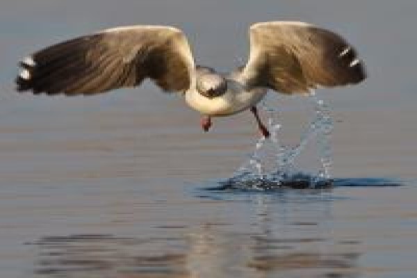 Synergistics Environmental Services (Pty) Ltd