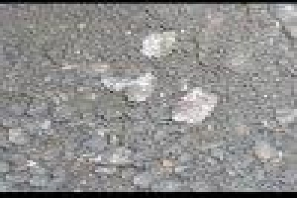 Esicongweni Environmental Services (Ees)