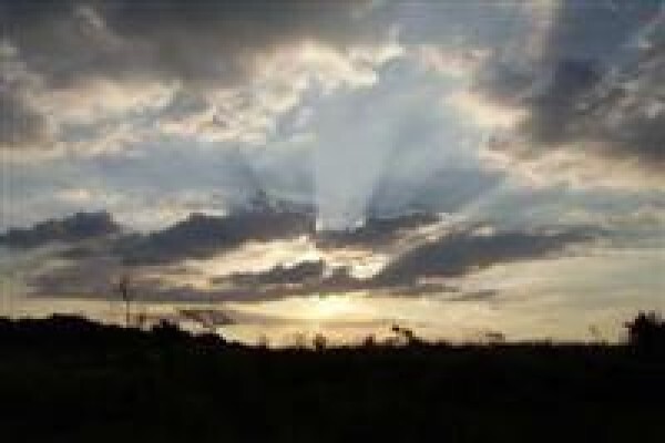 Synergistics Environmental Services (Pty) Ltd