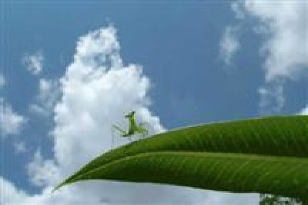 Synergistics Environmental Services (Pty) Ltd