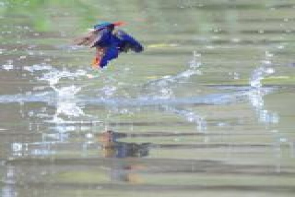 Synergistics Environmental Services (Pty) Ltd