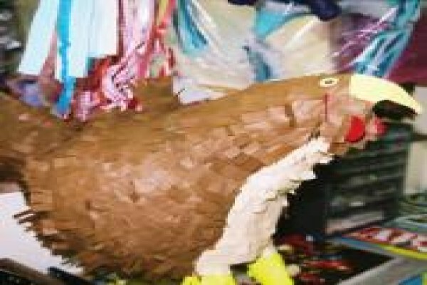 Pinata Africa