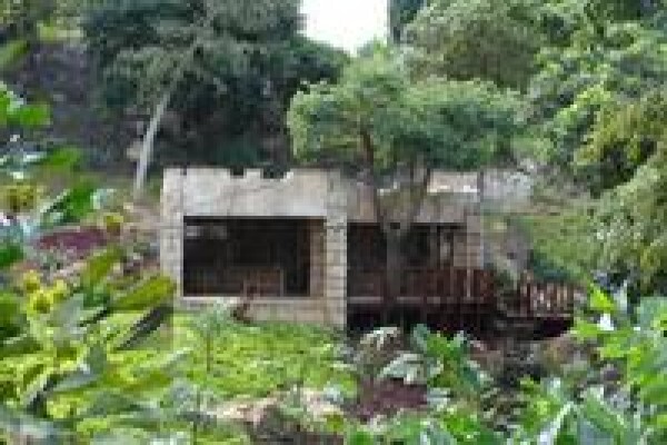 Rock Studio