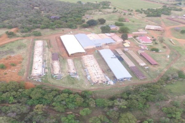 Eagle'S Pride Hatchery