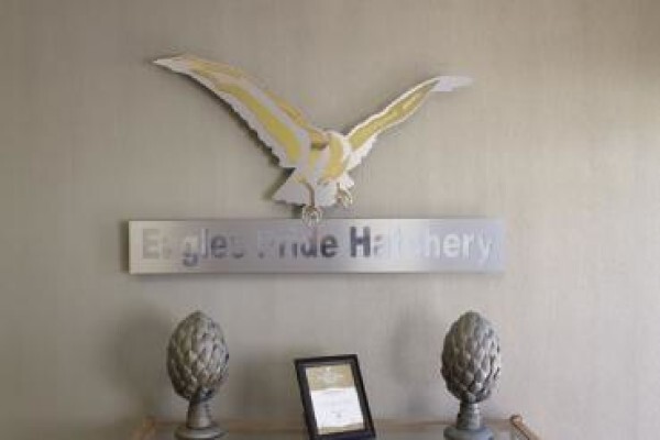 Eagle'S Pride