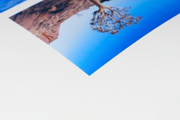 Wetink Fine Art Printing