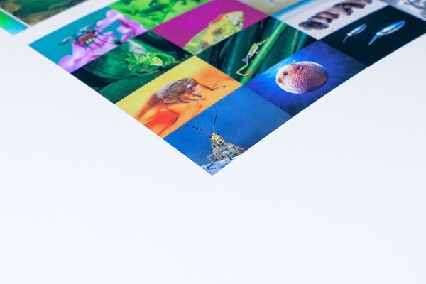Wetink Fine Art Printing