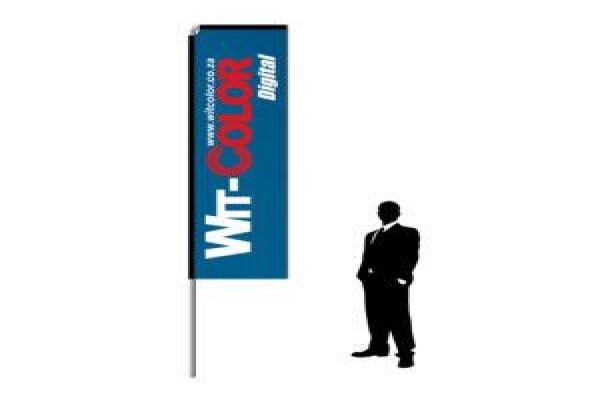 Witcolor
