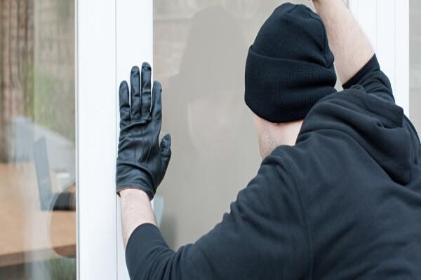 Colt Security Systems