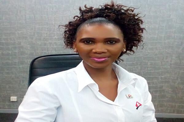 Stallion Electronics (Pty) Ltd