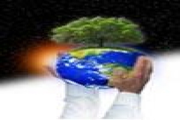 Neland Consulting