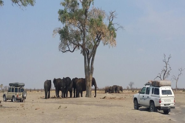 Allroundsafaris
