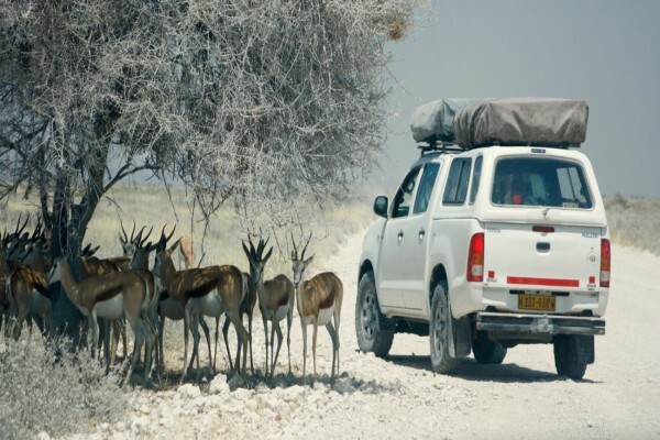 Allroundsafaris